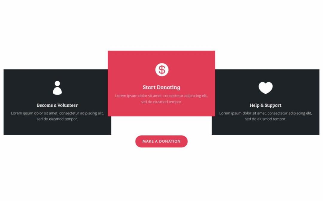 Divi Plus – Non Profit #1