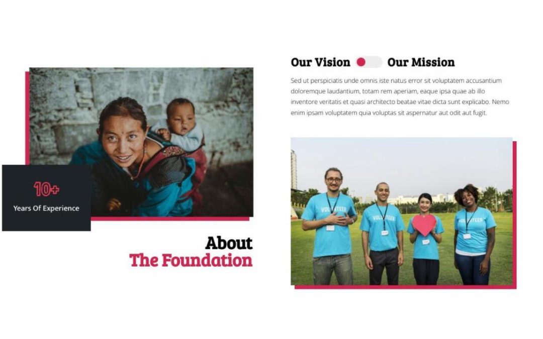 Divi Plus – Non Profit #2