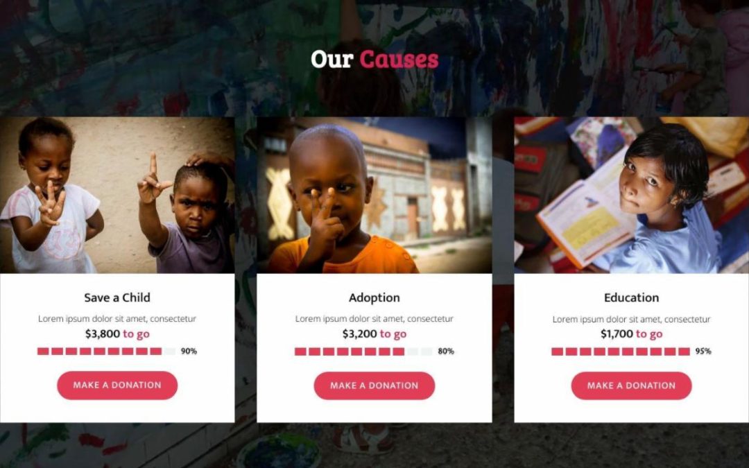 Divi Plus – Non Profit #3