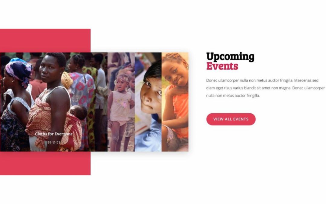 Divi Plus – Non Profit #4