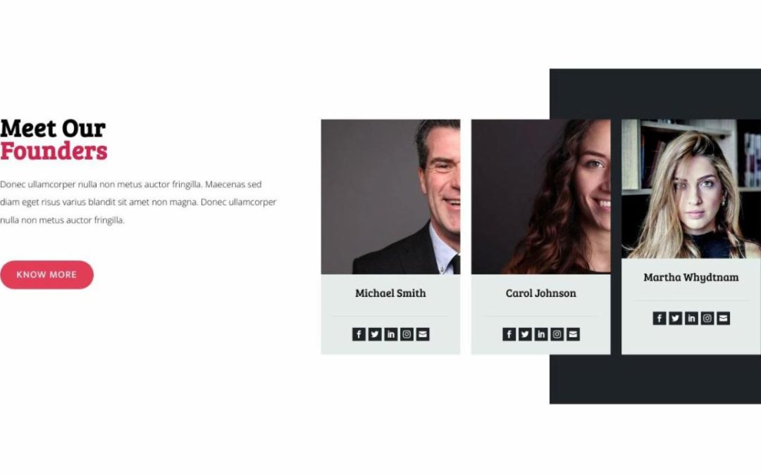 Divi Plus – Non Profit #5