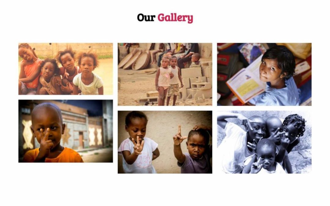 Divi Plus – Non Profit #6