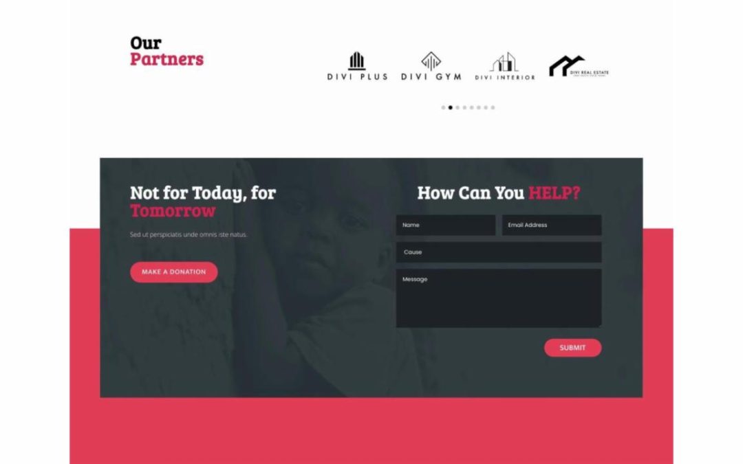Divi Plus – Non Profit #8