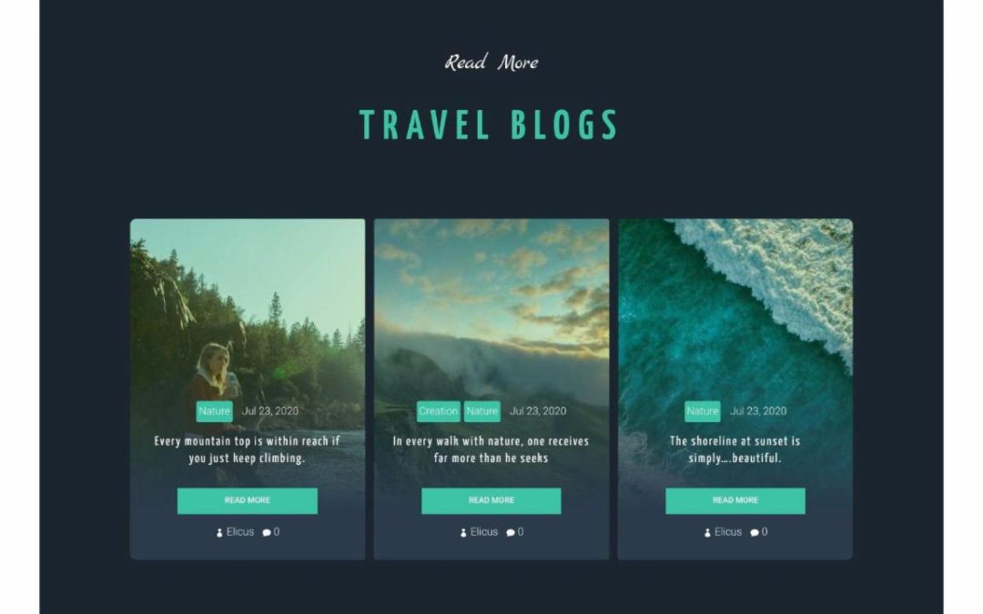 Divi Plus – Travelling Agency #4