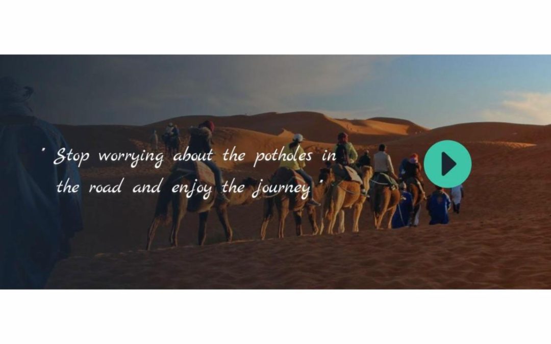 Divi Plus – Travelling Agency #5