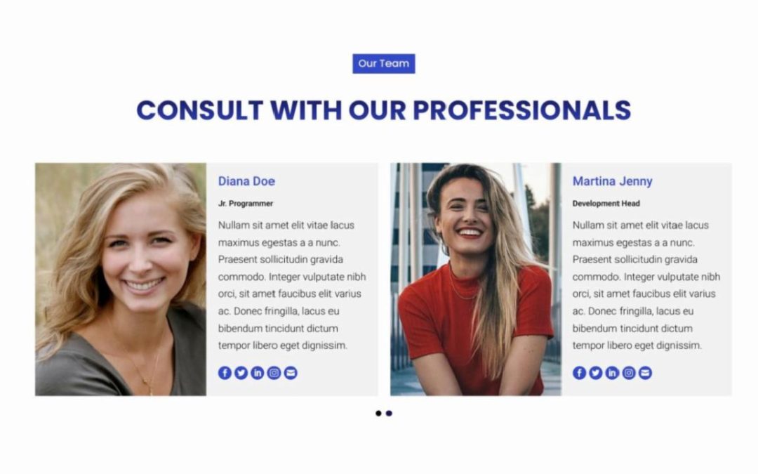 Divi Plus – Business Services #4