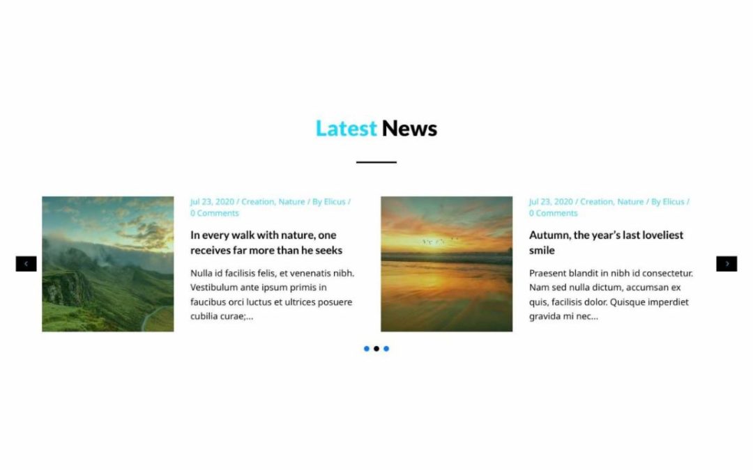 Divi Plus – Digital Agency #7
