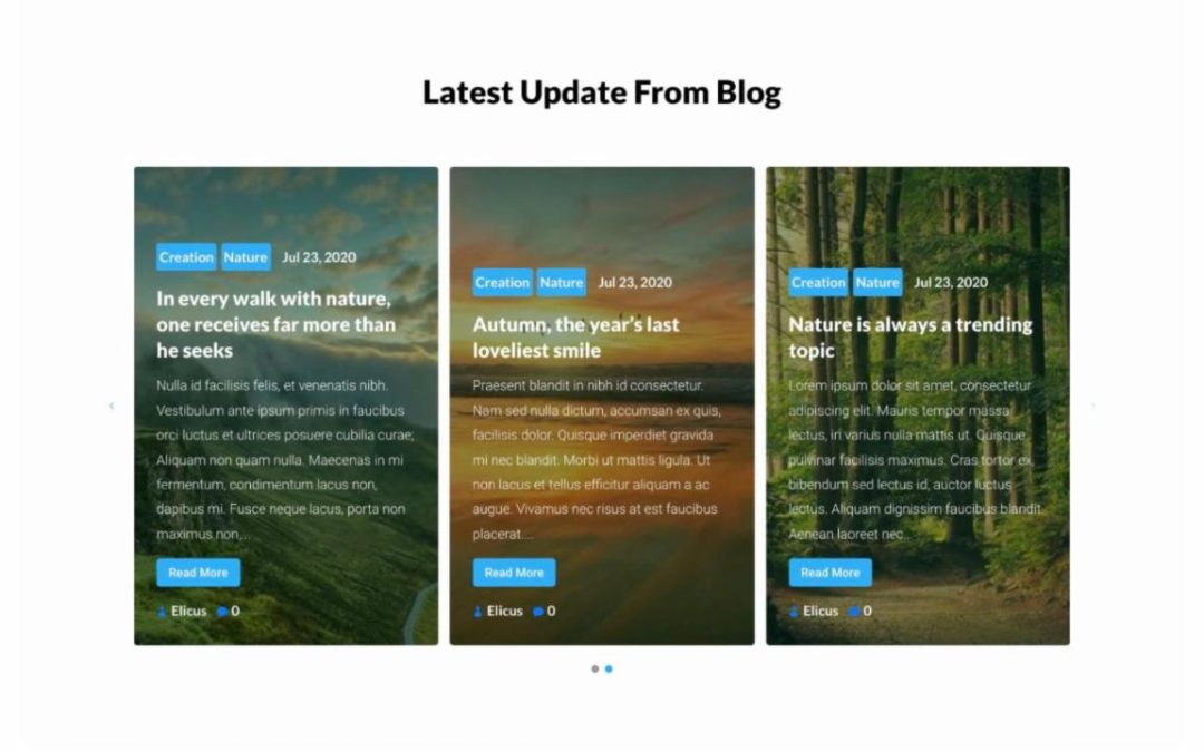 Divi Plus – Landing Page #7