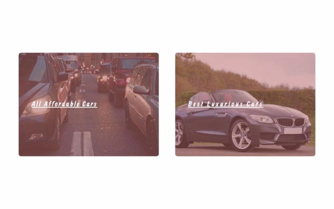 Divi Plus – Rent a Car #2