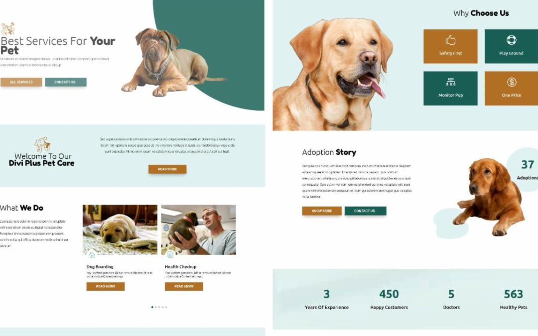 Divi Plus – Pet Care