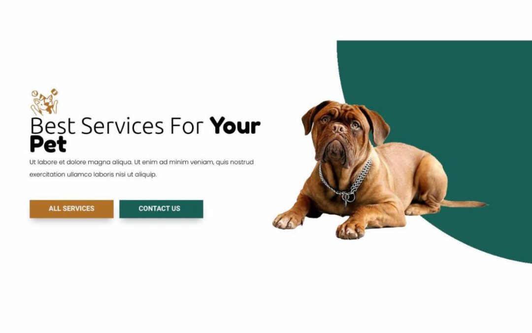 Divi Plus – Pet Care #0