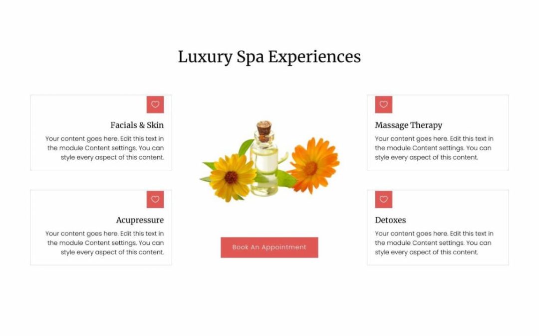 Divi Plus – Spa #4