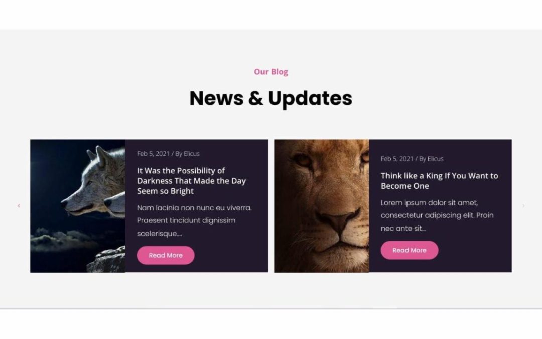 Divi Plus – Event 2 #8