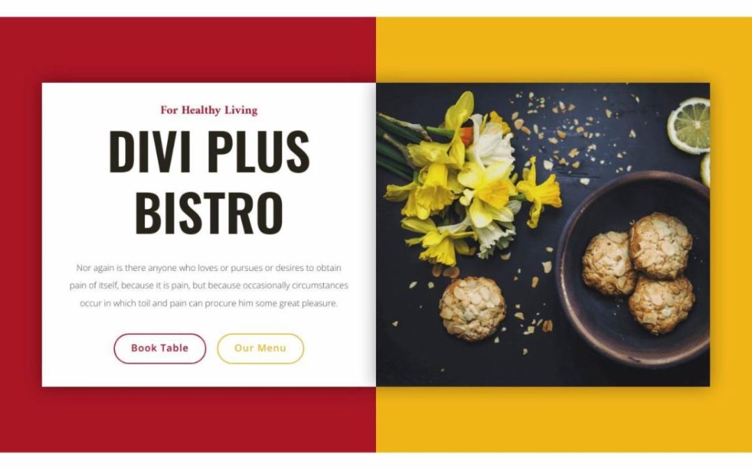 Divi Plus – Bistro #0
