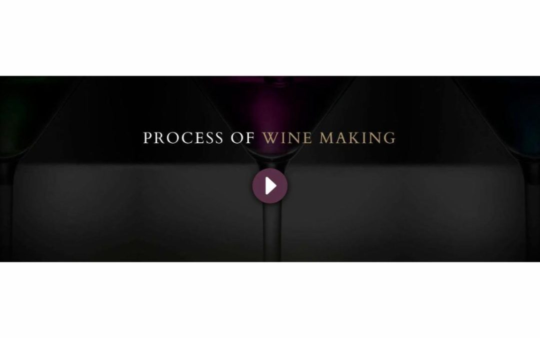 Divi Plus – Wine #5