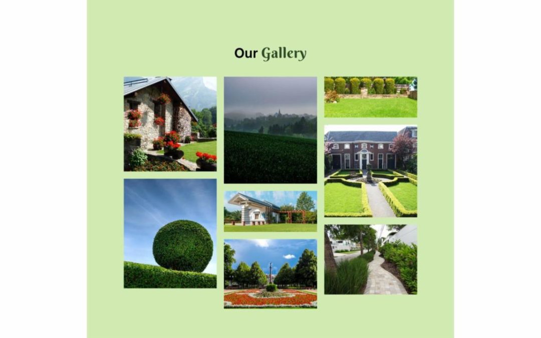 Divi Plus – Landscaping #4