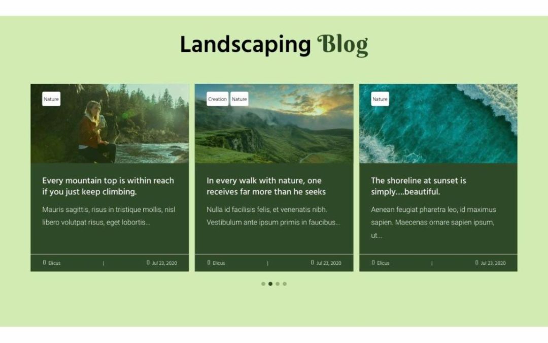 Divi Plus – Landscaping #6
