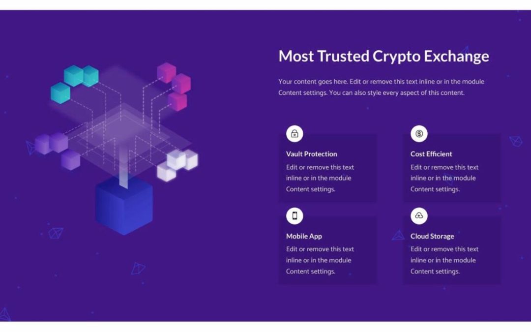 Divi Plus – Crypto #1