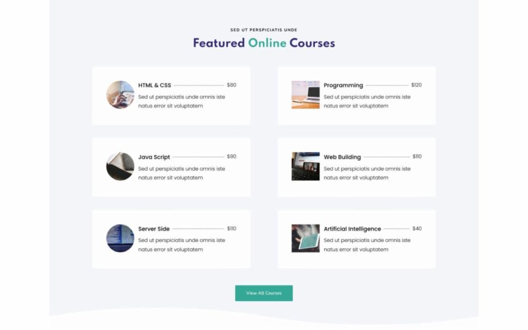 Divi Plus – Online Courses #1