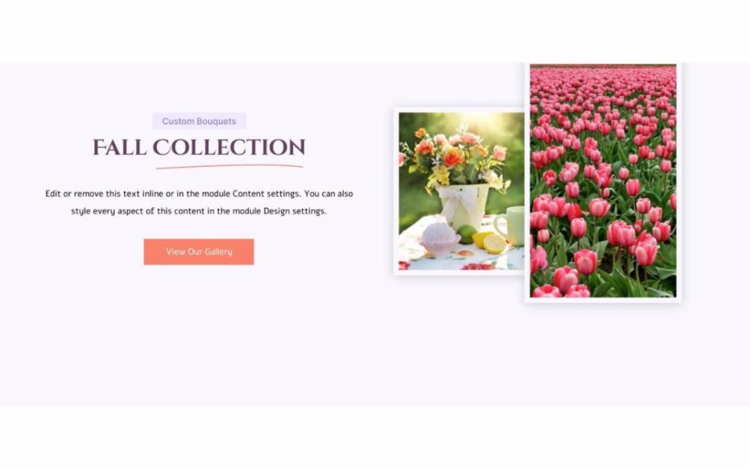Divi Plus – Florist #3