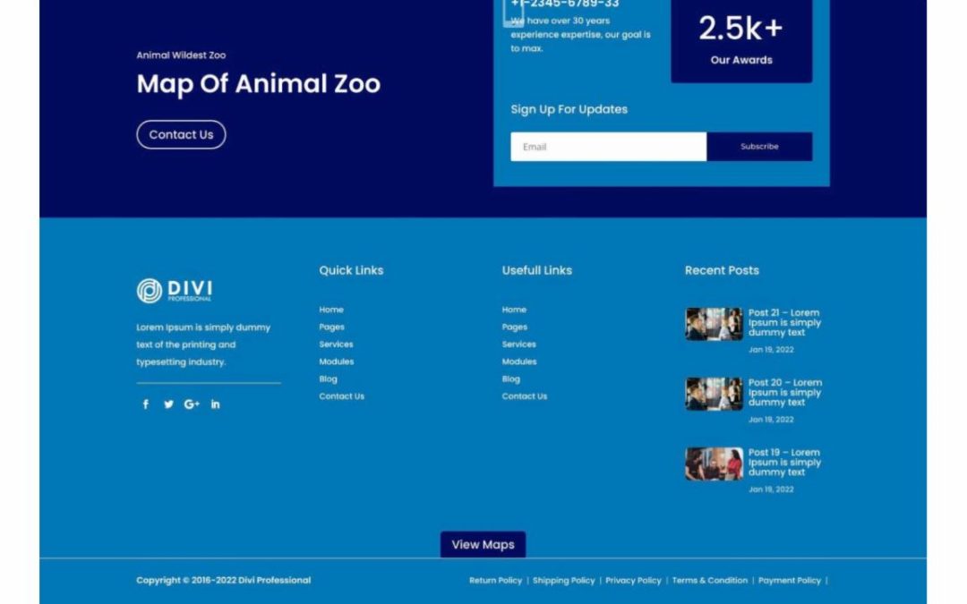 DP Footer #298