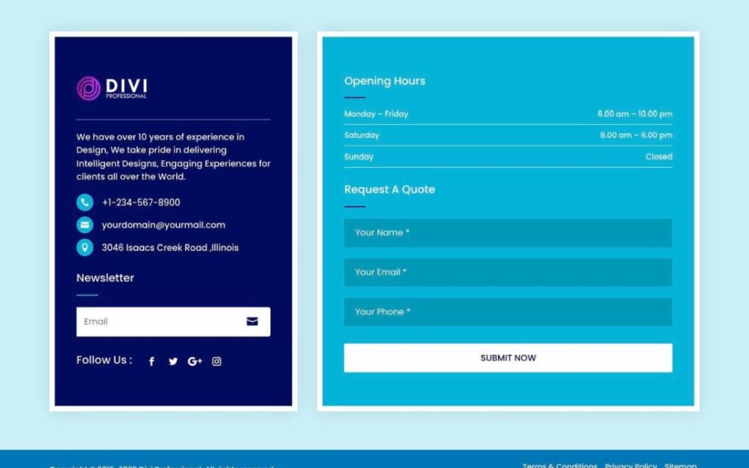 DP Footer #66
