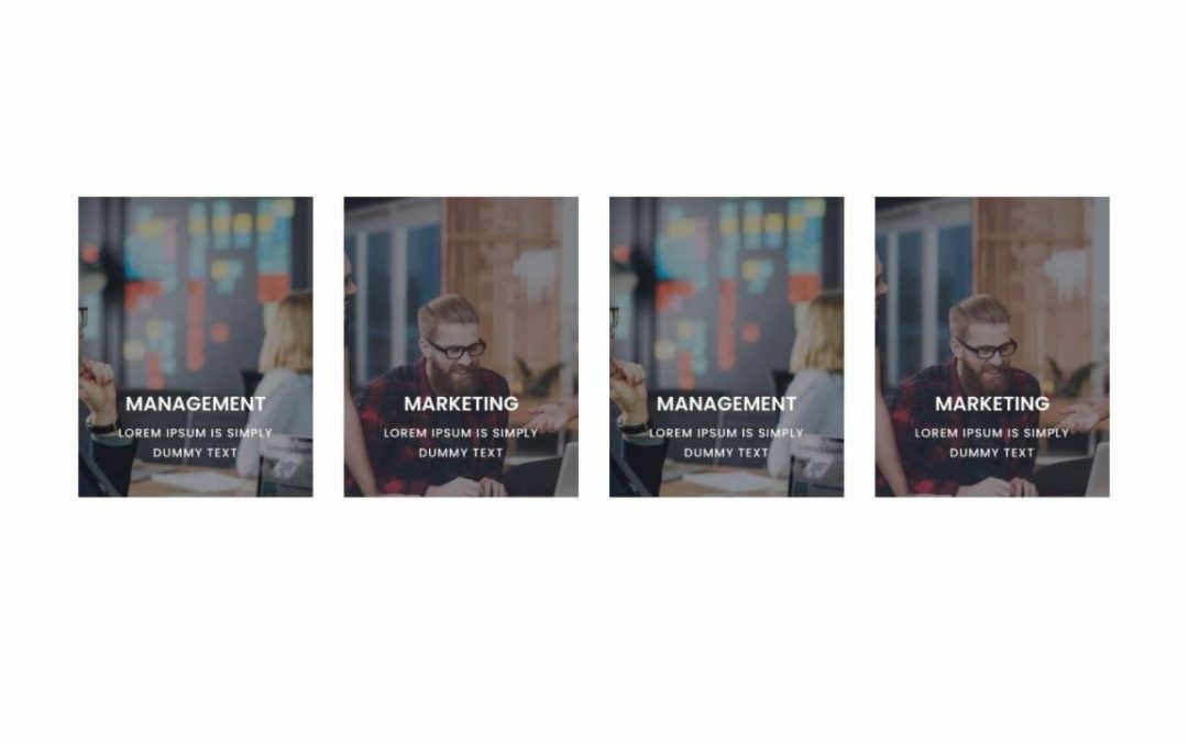 DP Interactive Banners #12
