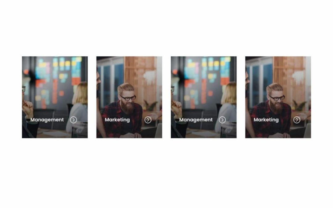 DP Interactive Banners #5