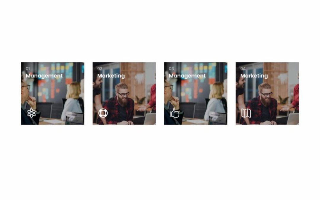 DP Interactive Banners #9