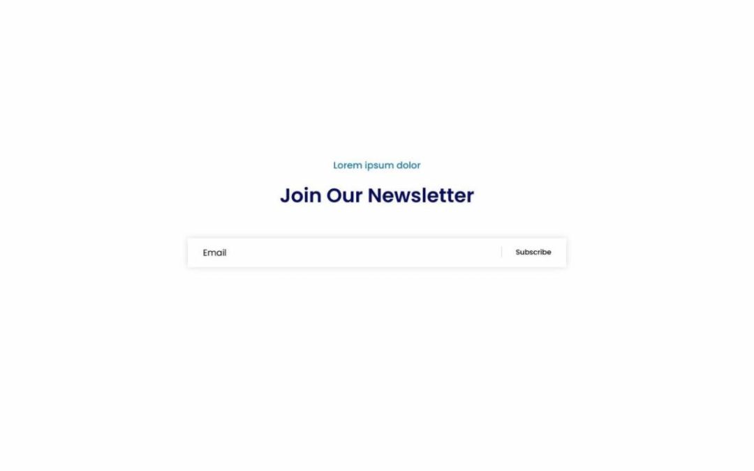 DP Newsletter #4