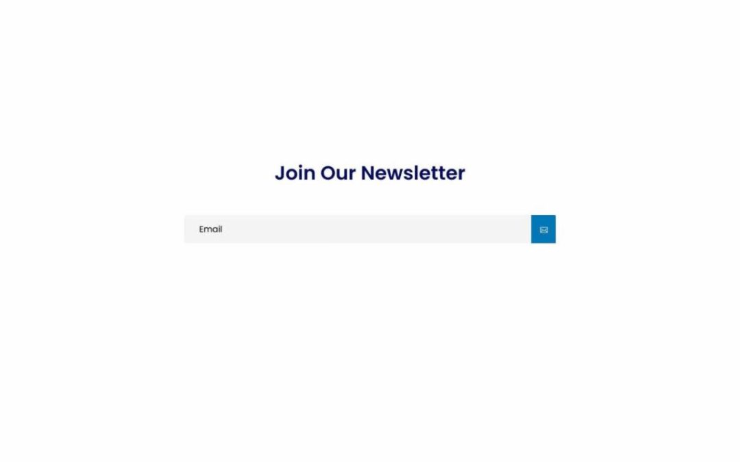 DP Newsletter #5