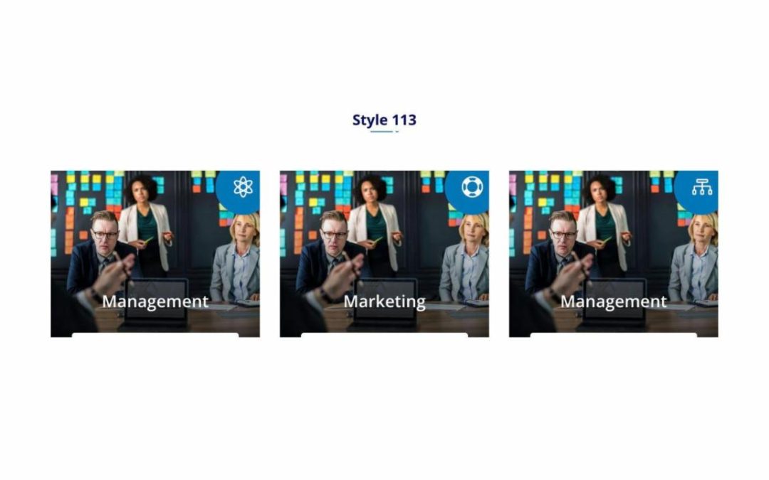 DP Service #113