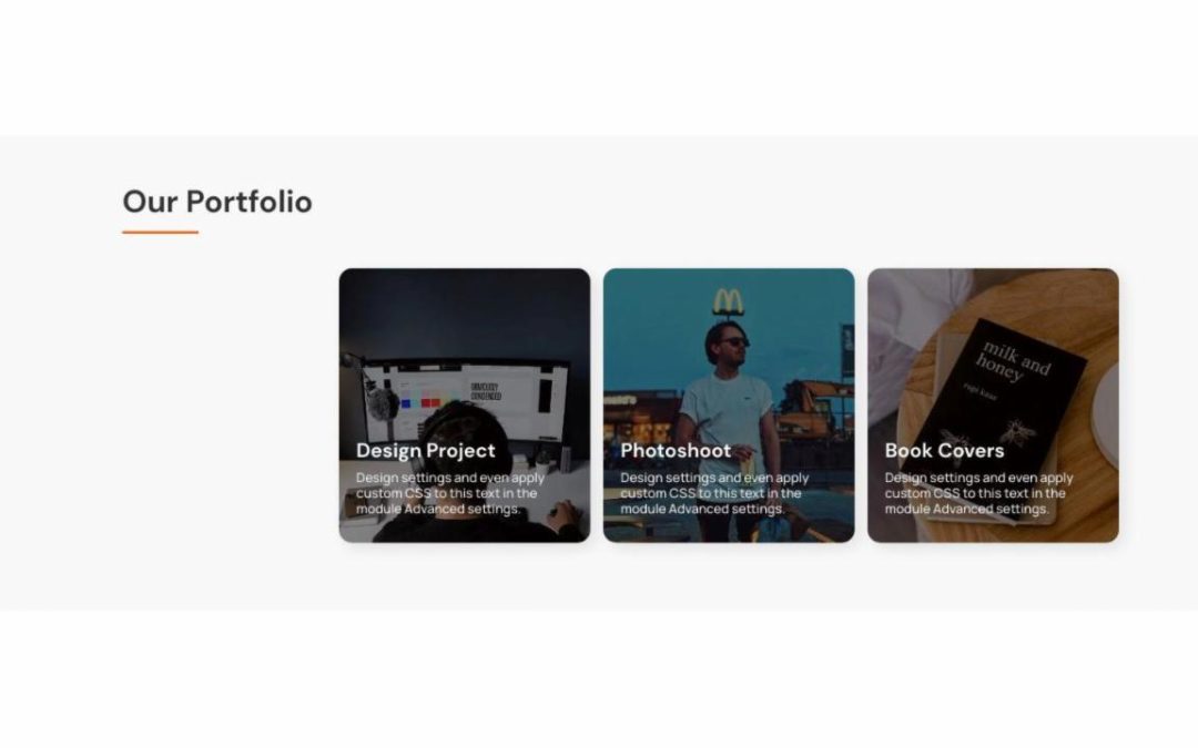 DT – Portfolio #13