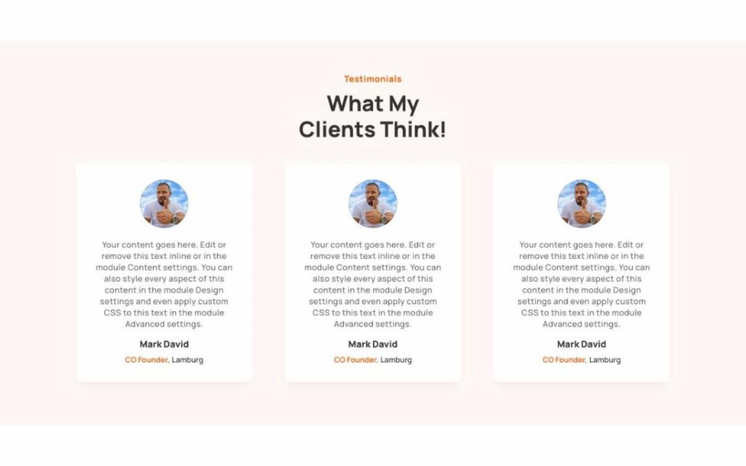 DT – Testimonials #04